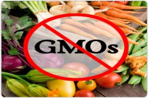 Ban-GMO