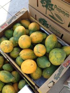 papaya