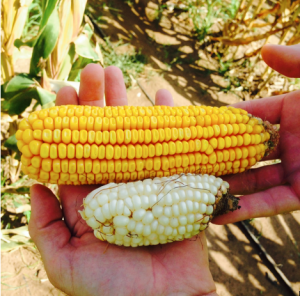 Screenshot 2014-03-04 21.43.49