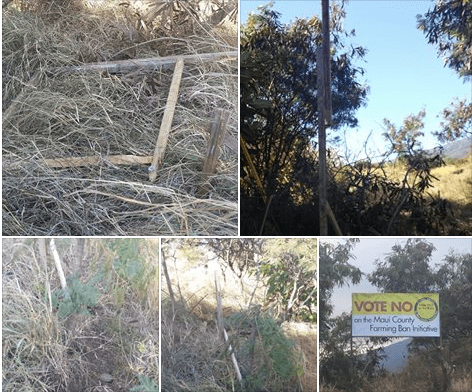 Screenshot 2014-10-12 14.05.25