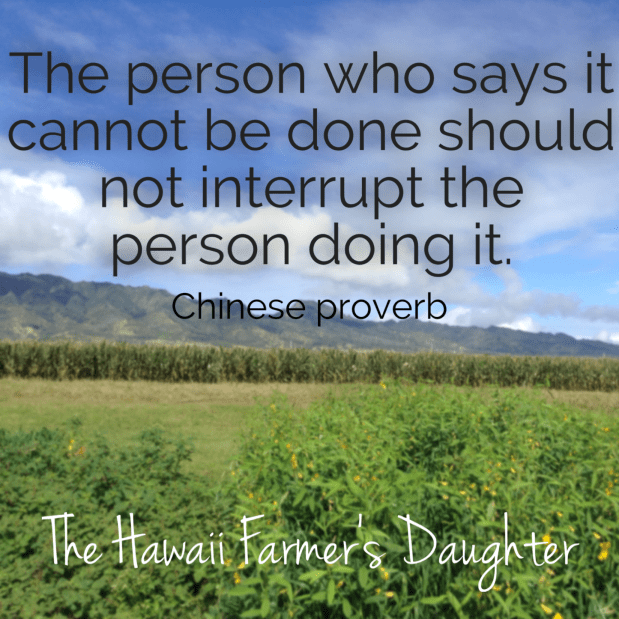 Remembering Those Who&nbsp;Gave