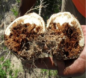 Screen Shot 2015-09-25 at 1.57.17 PM