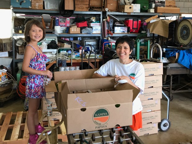 A Passion for Papaya is Not&nbsp;Propaganda